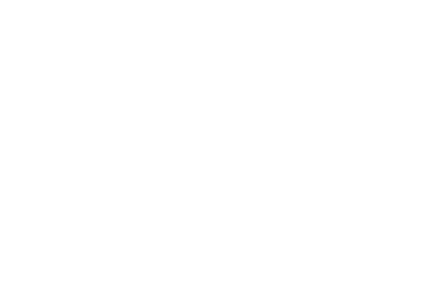 caister home improvements logo upscaled white